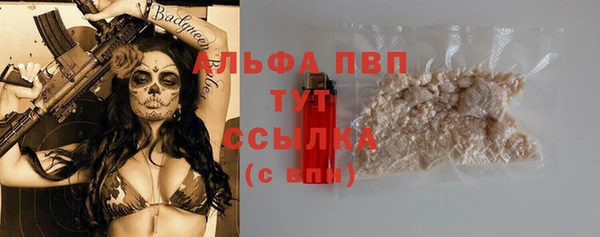 Альфа ПВП Вяземский