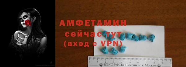молекула духа Вязьма