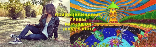 молекула духа Вязьма