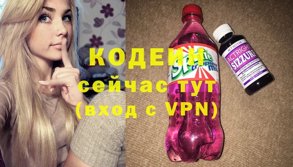 молекула духа Вязьма